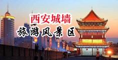 被操哭调教喷水视频中国陕西-西安城墙旅游风景区